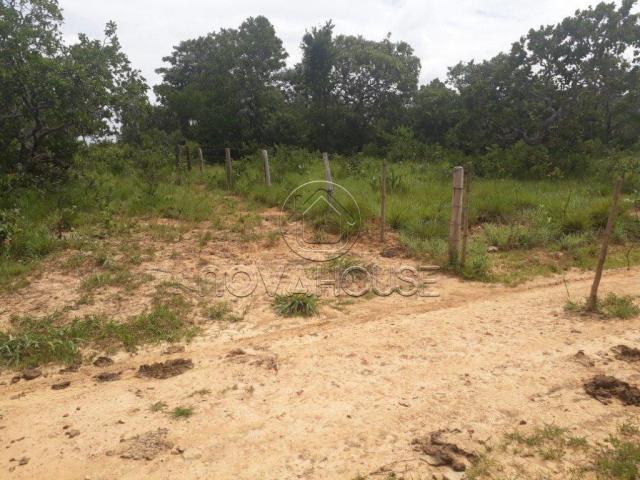 Fazenda rural à venda, centro, itaguaia - . - Foto 13