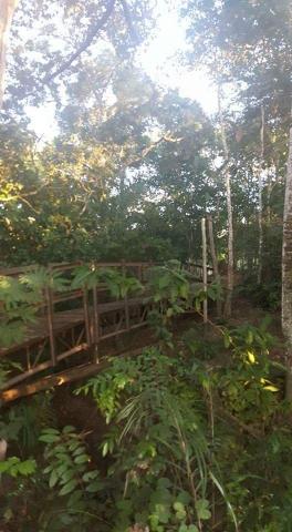 Chácara porteira fechada á venda no manso/mt - Foto 3