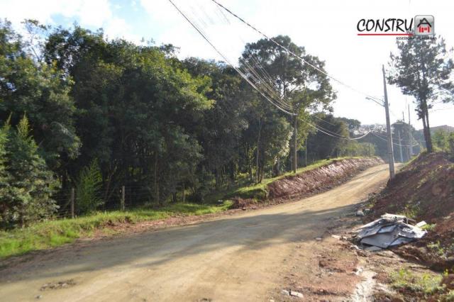 Terreno área de 12.100 m² r$ 2.200.000 - colônia rio grande - são josé dos pinhais/pr - Foto 6