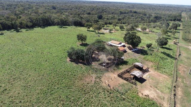 Fazenda 330 ha, região e poconé - Foto 4