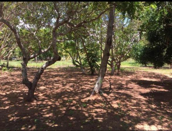Chácara lago do manso com 3 dormitórios à venda, 150000 m² por r$ 400.000 - zona rural - c - Foto 15