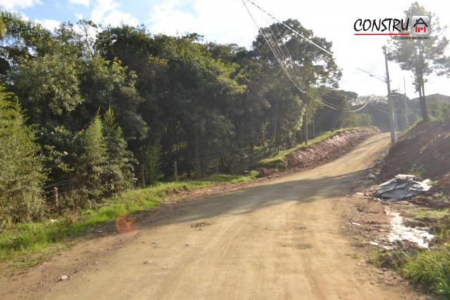 Terreno área de 12.100 m² r$ 2.200.000 - colônia rio grande - são josé dos pinhais/pr - Foto 4