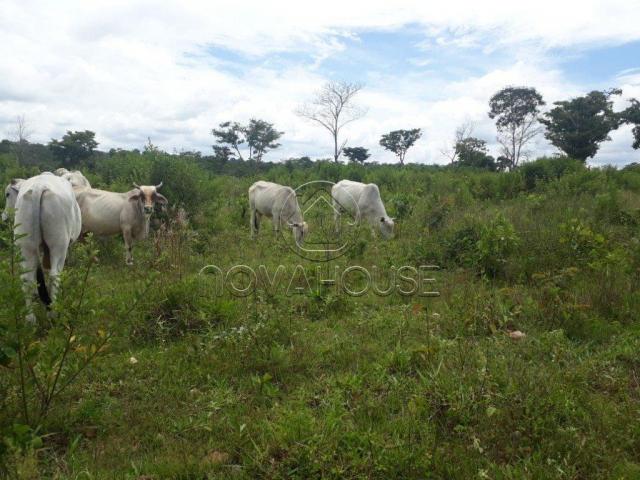 Fazenda rural à venda, centro, itaguaia - . - Foto 17