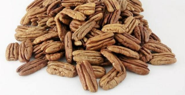 Noz Pecan - Safra 2019