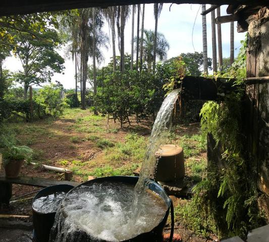 Fazenda 37,3 Alqueires ( 180,85 ha )- Nova Fátima-GO\Hidrolândia-GO - Foto 8