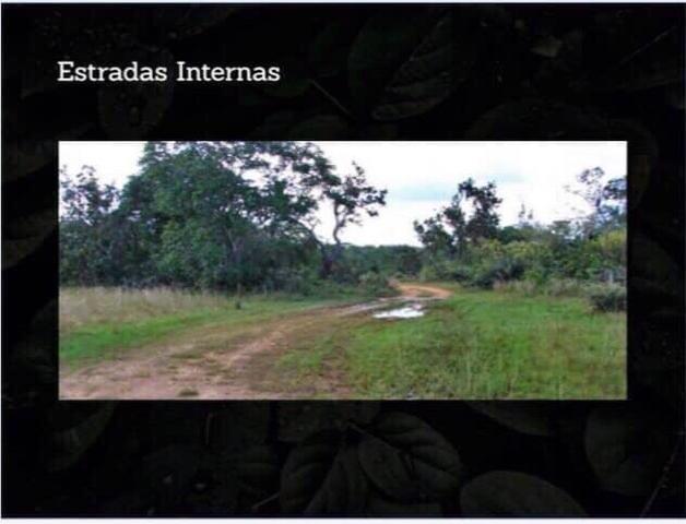 Fazenda na região de Formosa do Rio Preto-BA