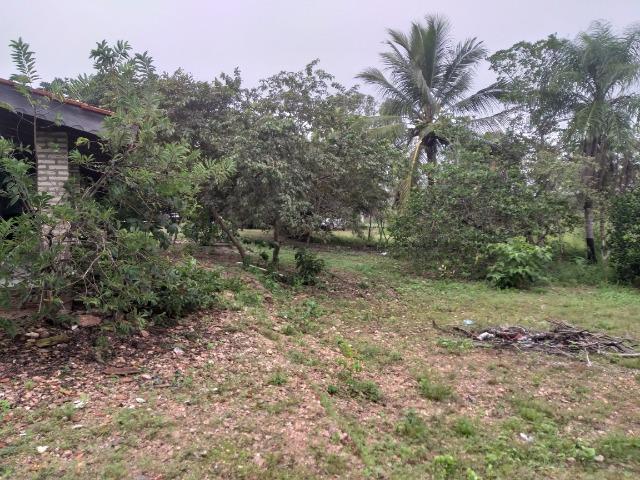 Chácara próximo à ambev - Foto 15