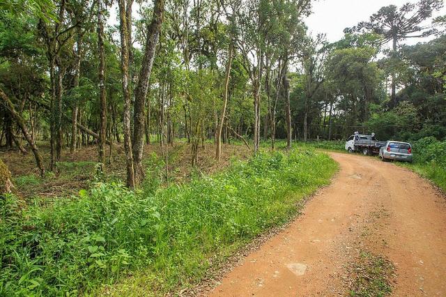 Chácara 0,5 ha, próximo á montadora da Audi 30min/Curitiba só R$85mil - Foto 4