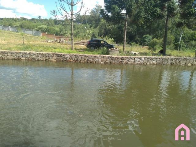 Terreno à venda em Nossa senhora da saúde, Caxias do sul cod:2161 - Foto 11