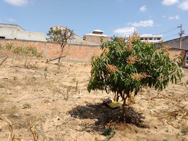 Vendo um terreno - Foto 5