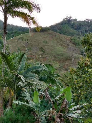 Terreno com 8 alqueires=19 hectares - Foto 10