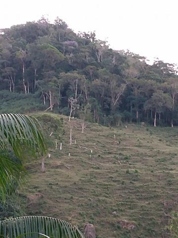 Terreno com 8 alqueires=19 hectares - Foto 5