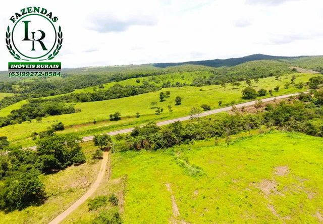 Fazenda 61 Alqueires Pecuária Próximo a Palmas - Foto 5