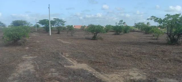 Lotes em Sucatinga - Beberibe  - Foto 4