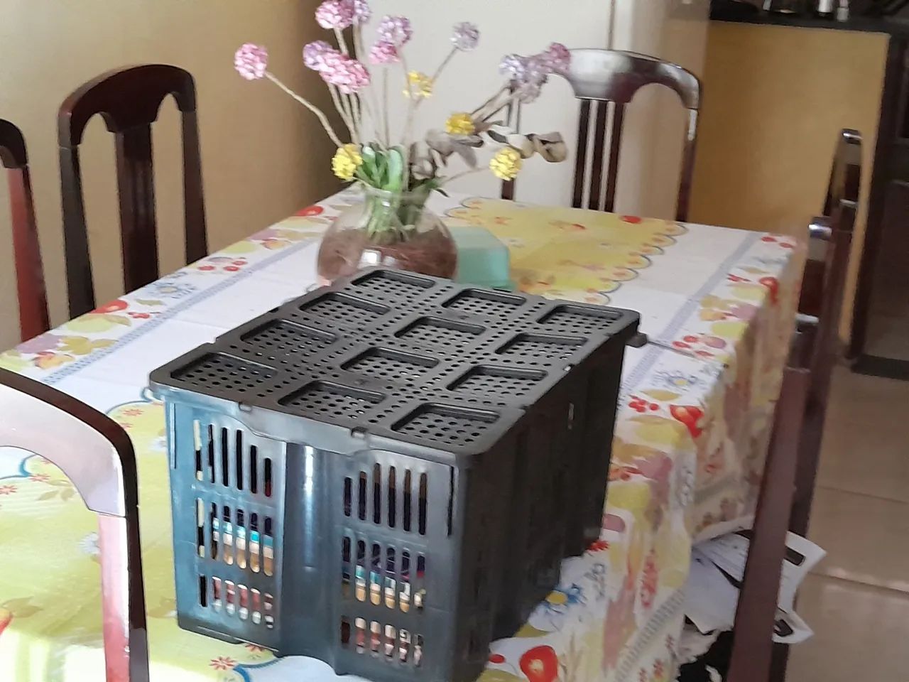 Caixas plásticas multipla-organização.