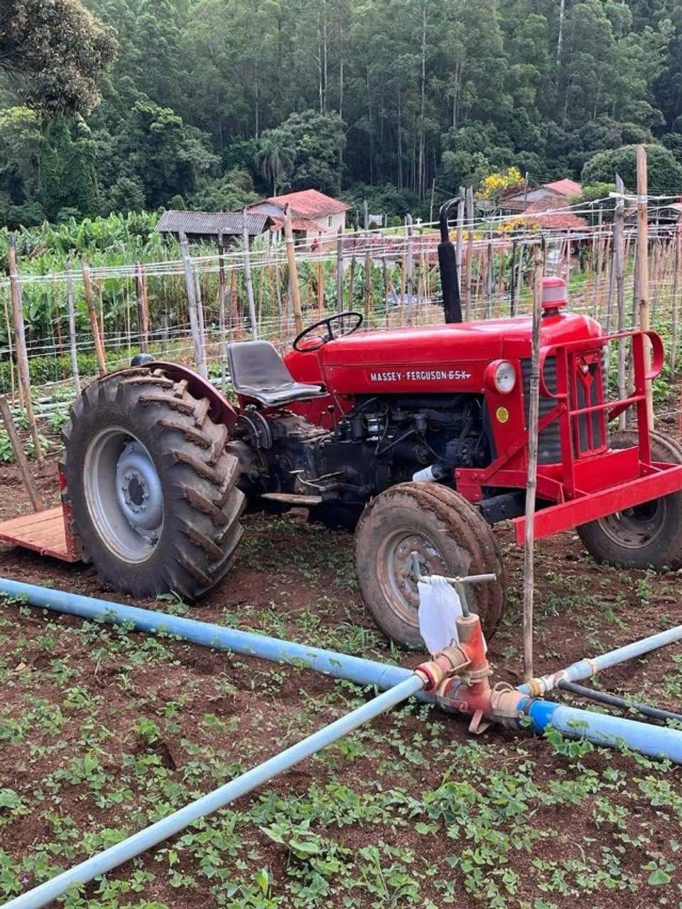 Trator MF 65x direção hidráulica  - Foto 4