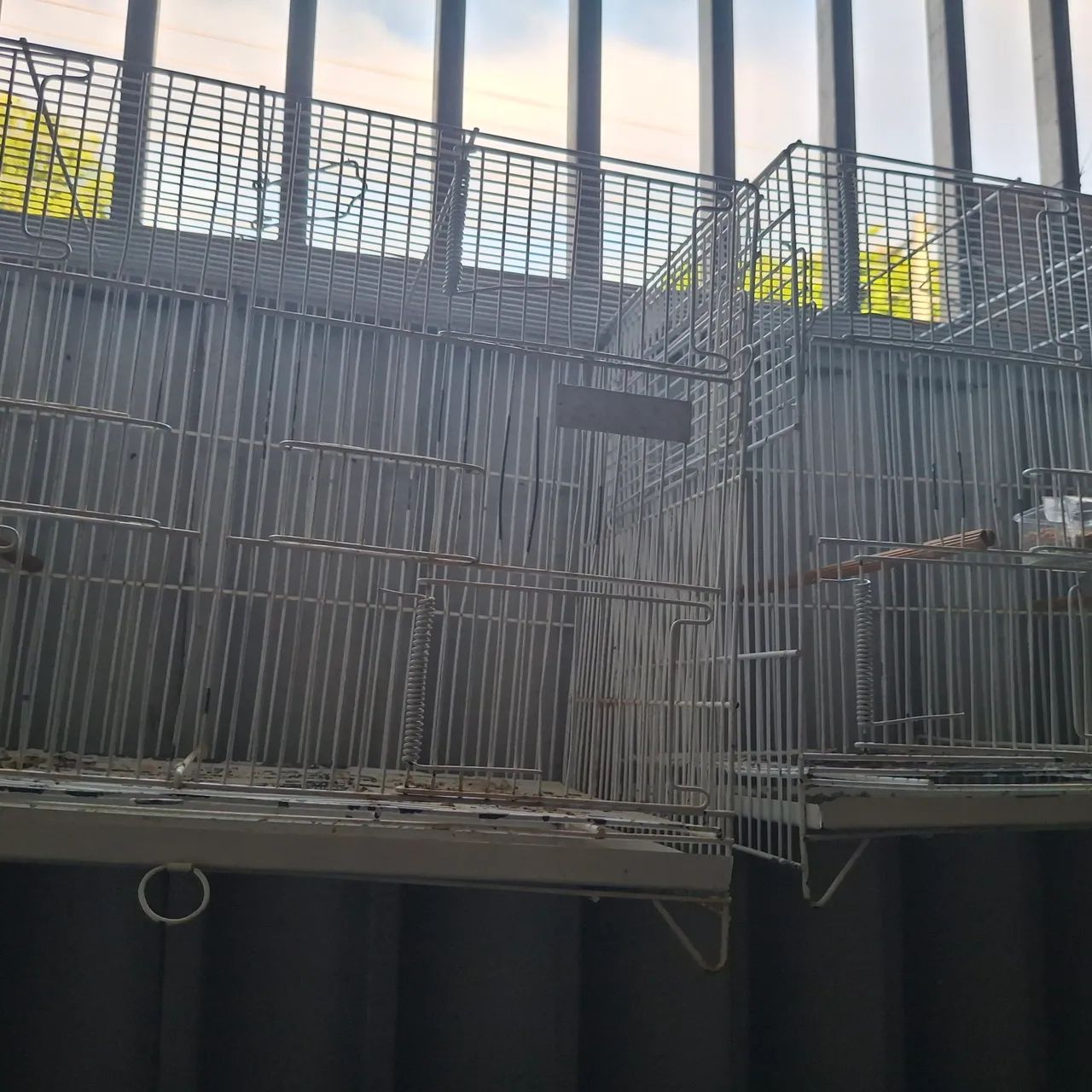 Gaiolas Pet Reprodução  - Foto 6