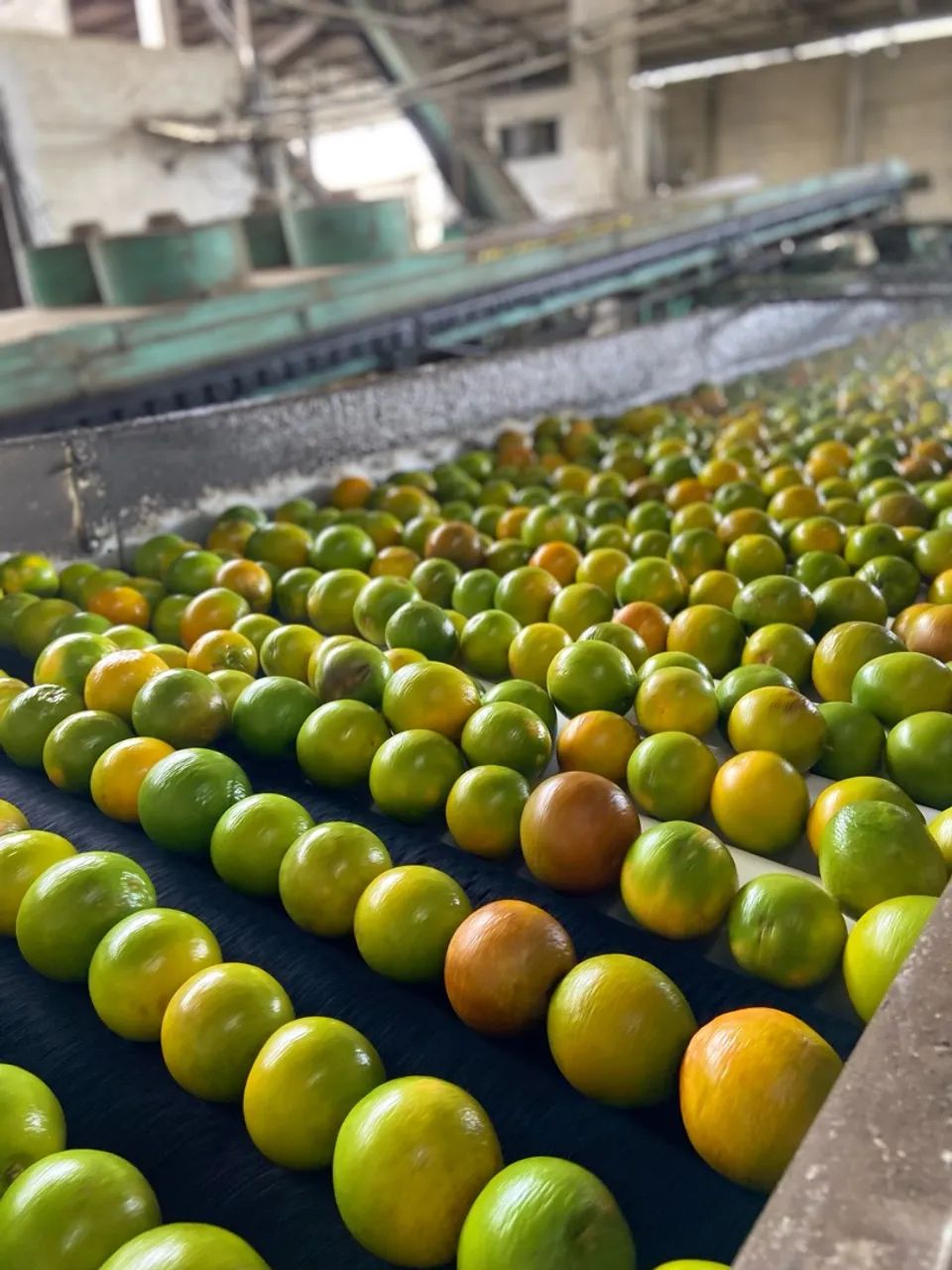 LARANJA PÊRA - CAIXA COM 25kg64309300807811120