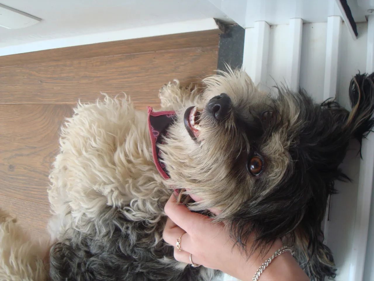 Cyber-shot SONY DSC-W90 funcionando - Foto 5