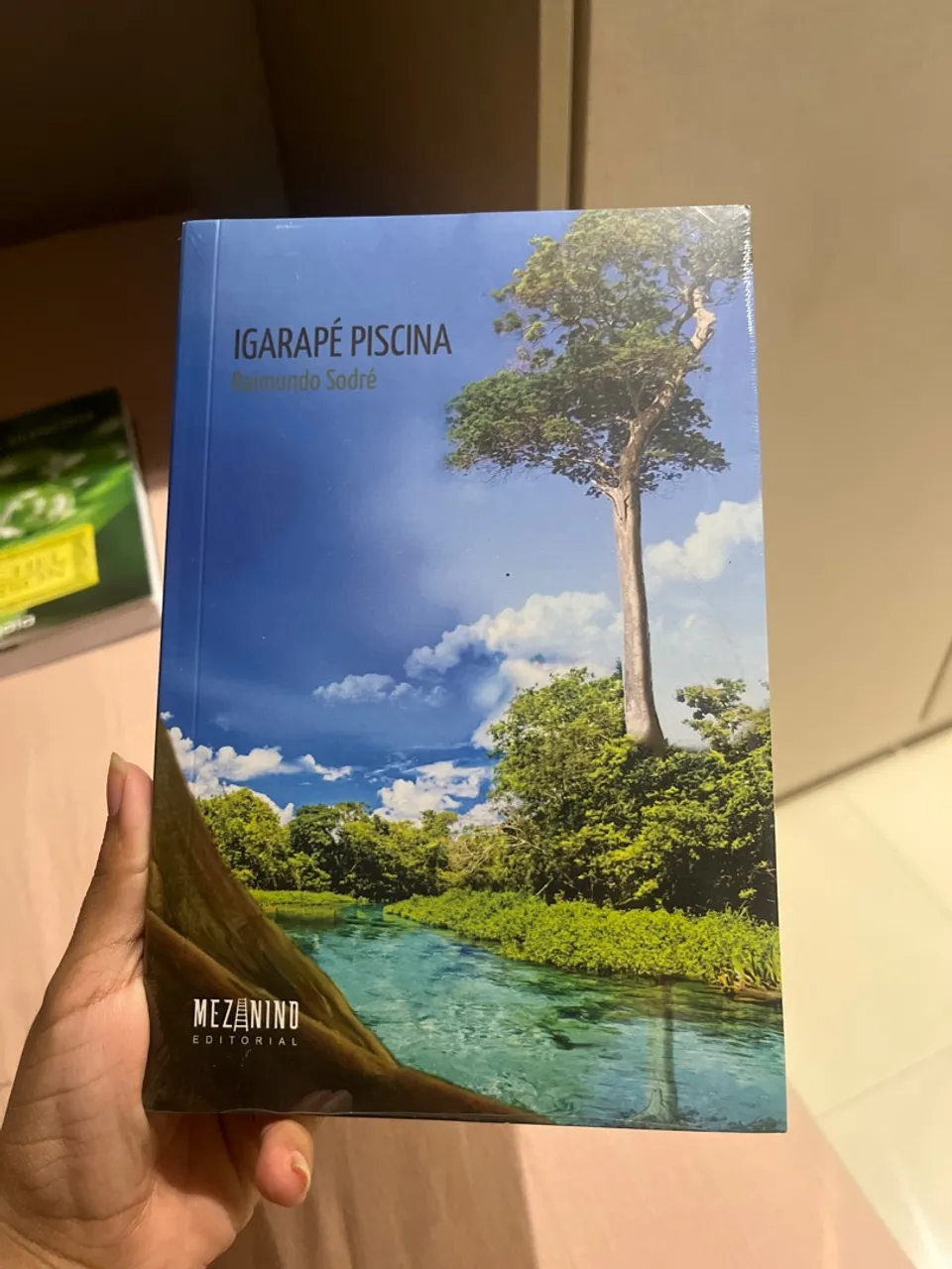 Igarapé Piscina - Raimundo Sodré