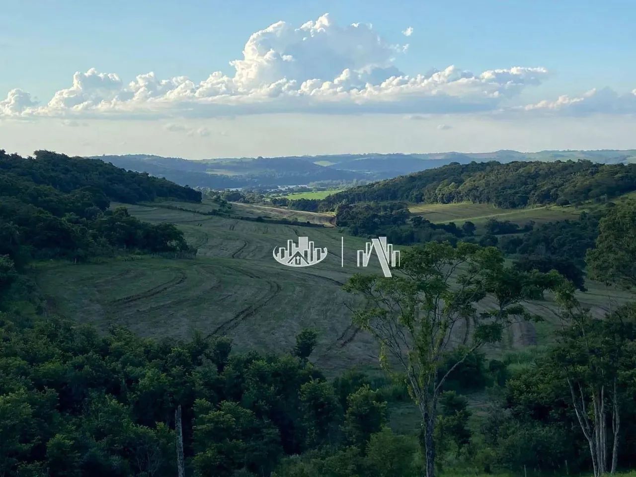 Sítio à venda, 653400 m² por R$ 4.900.000,00 - Zona Rural - Assaí/PR - Foto 3