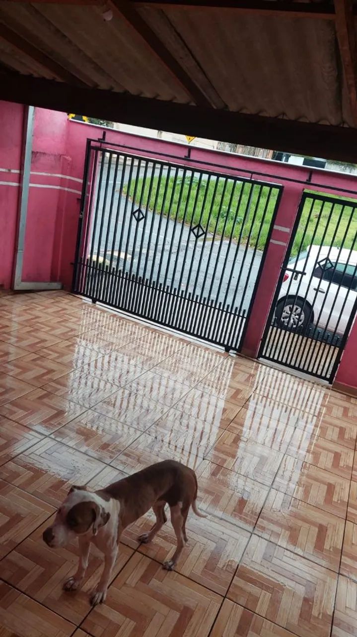foto - Londrina - San Fernando