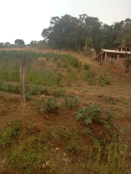 Terreno em Socorro - SP