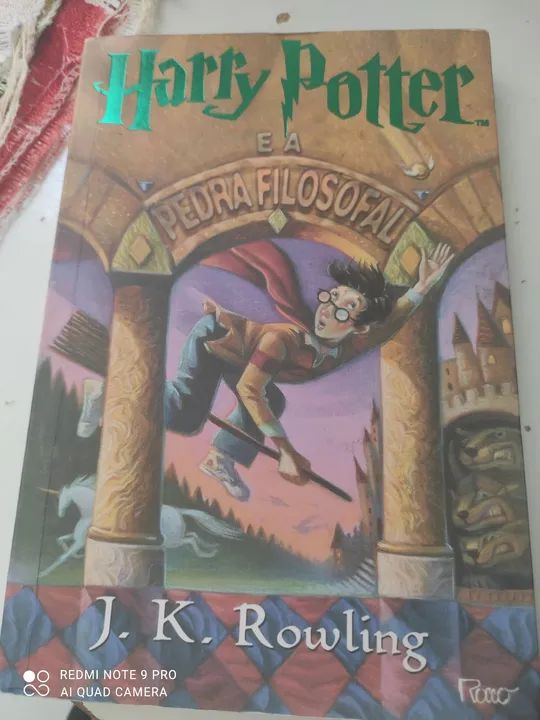 Harry Potter e a Pedra Filosofal - Livro - USADO