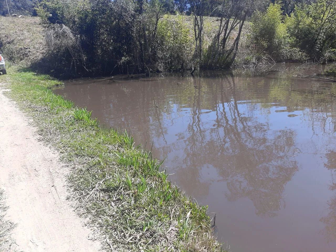 Chácara em Mandirituba 1,5 alqueires  - Foto 5