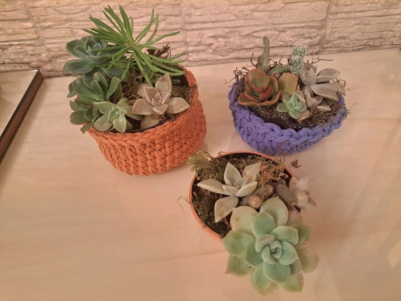 Arranjos de Suculentas em Vasos Decorativos - Foto 5