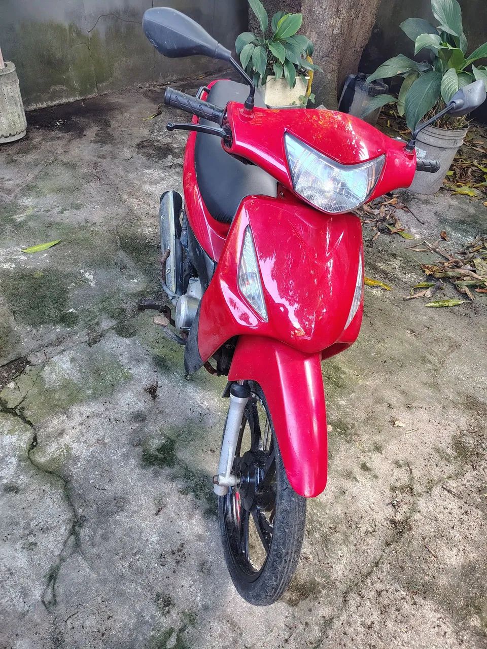 Biz +125 2008