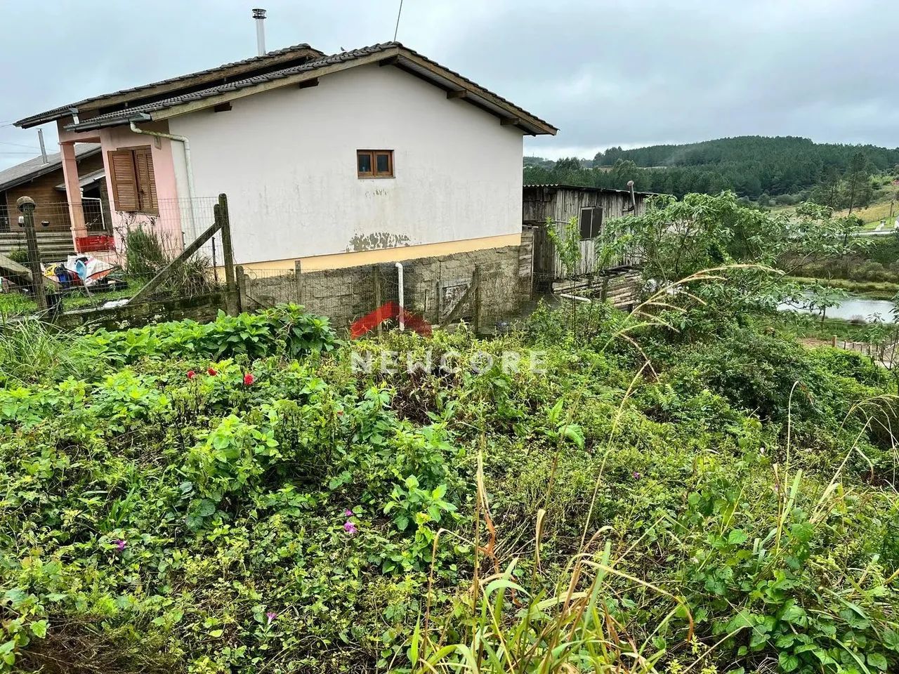 Lote em Rua Gilberto de Zorzi - São Miguel - São Francisco de Paula/RS - Foto 4