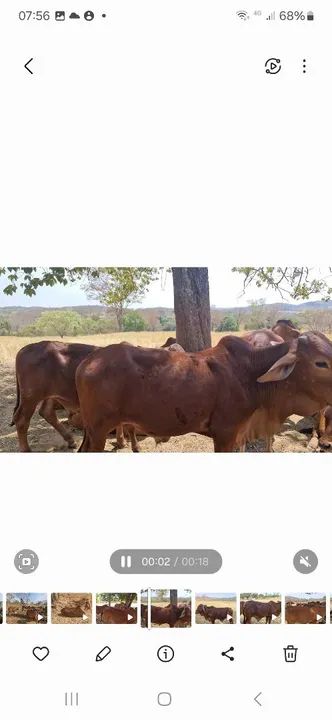 Tourinho sindi p.otourinhos sindi  - Foto 3