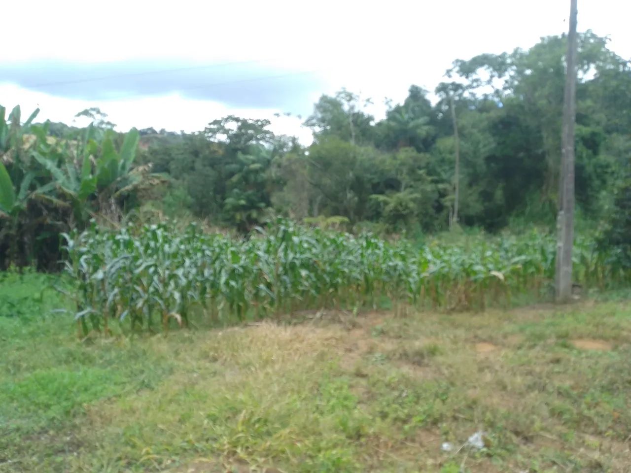 Sítio pedras azul 4 alqueires  - Foto 6