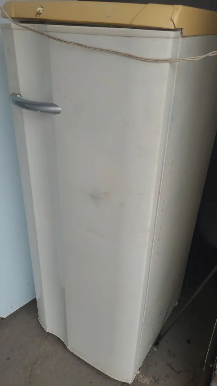 Refrigerador Eletrolux 239L