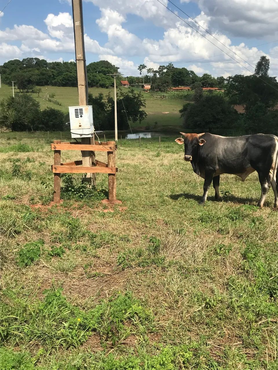 Chácara a venda  - Foto 7