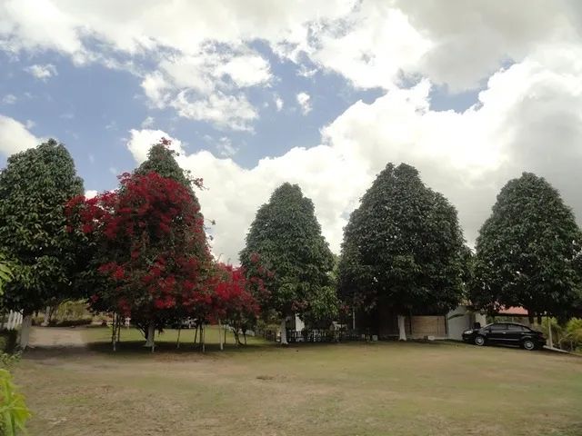 Sítio no município de Bayeux - Foto 15