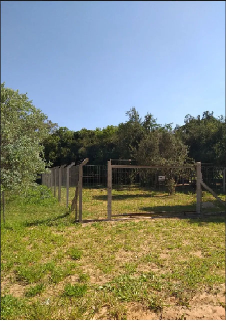 Foto - Viamão - Águas Claras