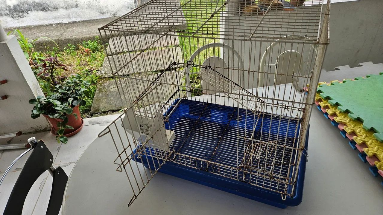 Gaiola para rato twister e semelhantes - Foto 2