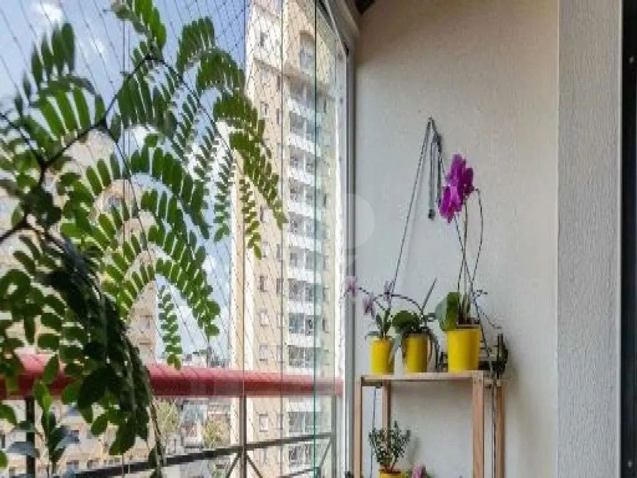 Apartamento em Vila Sônia - Foto 3