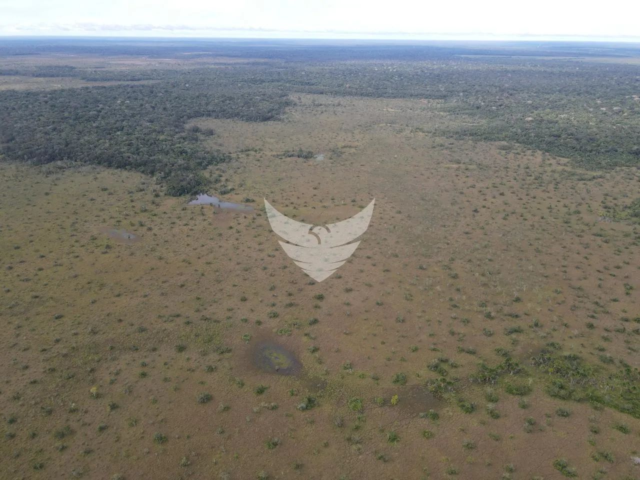 Fazenda a venda na BR 319 - Foto 4