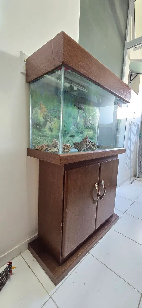 Aquário Completo 112L + Móvel em Madeira + Acessórios (Pronto para Uso)