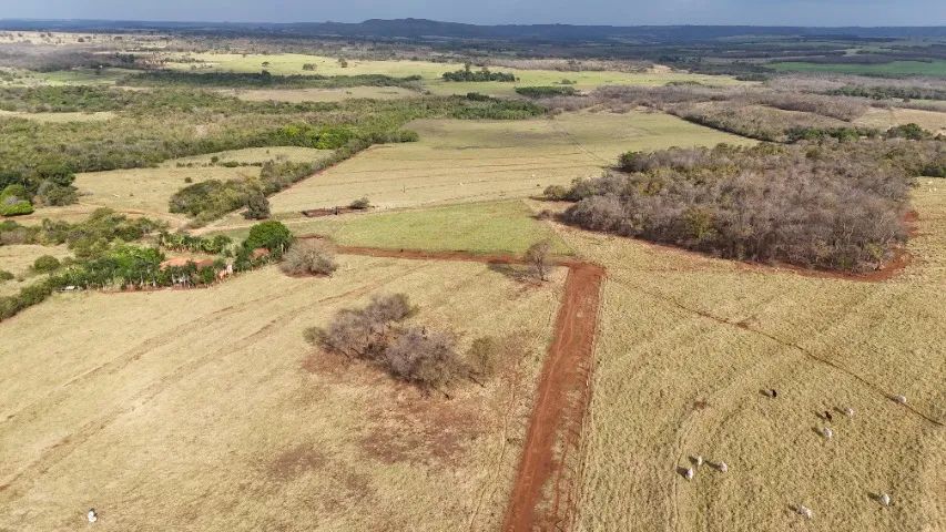 Fazendinha de 90 Hectares com rio próxima a Campo Grande-MS! - Foto 3