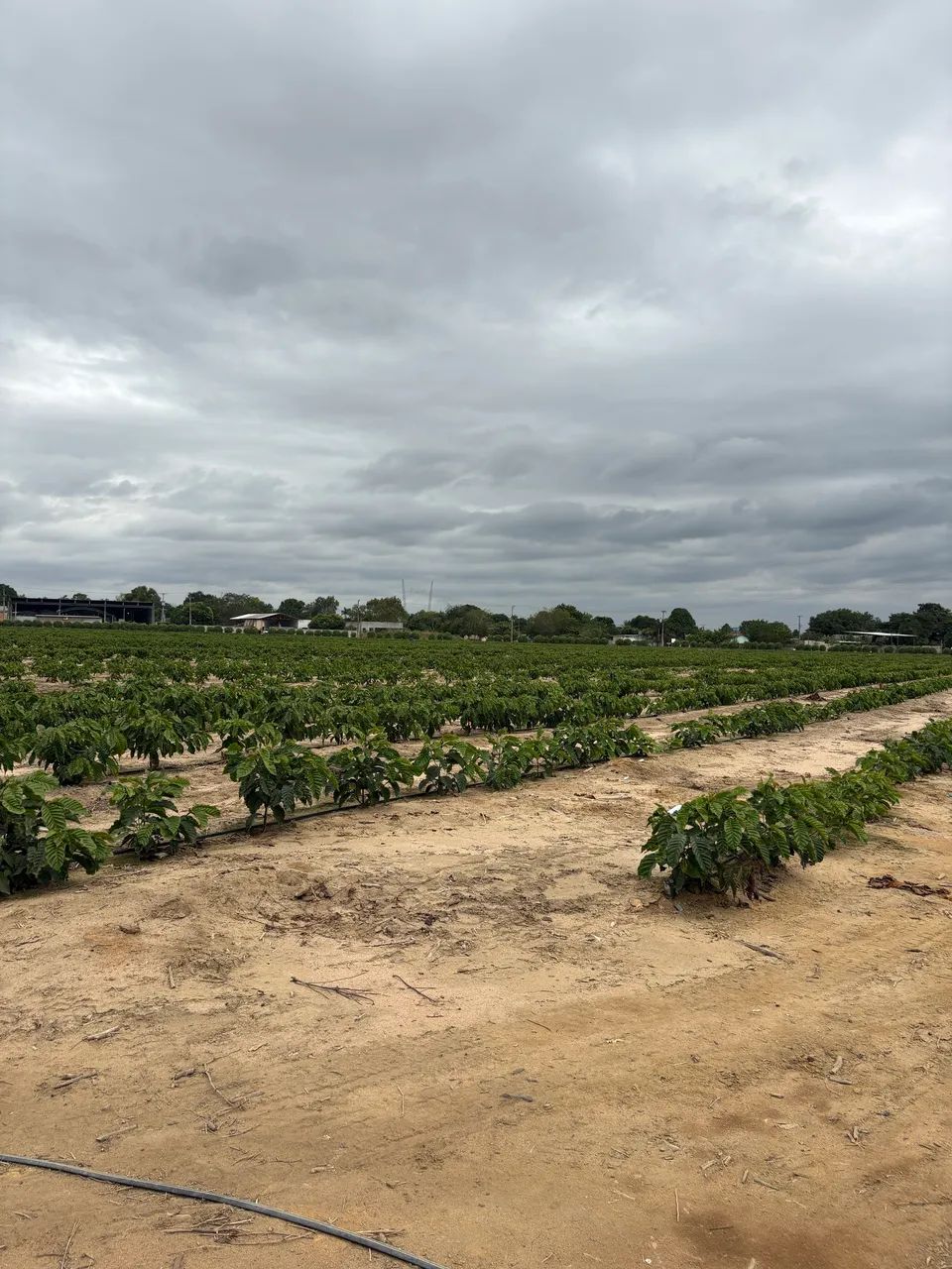 Oportunidade vende se lindo terreno  - Foto 5