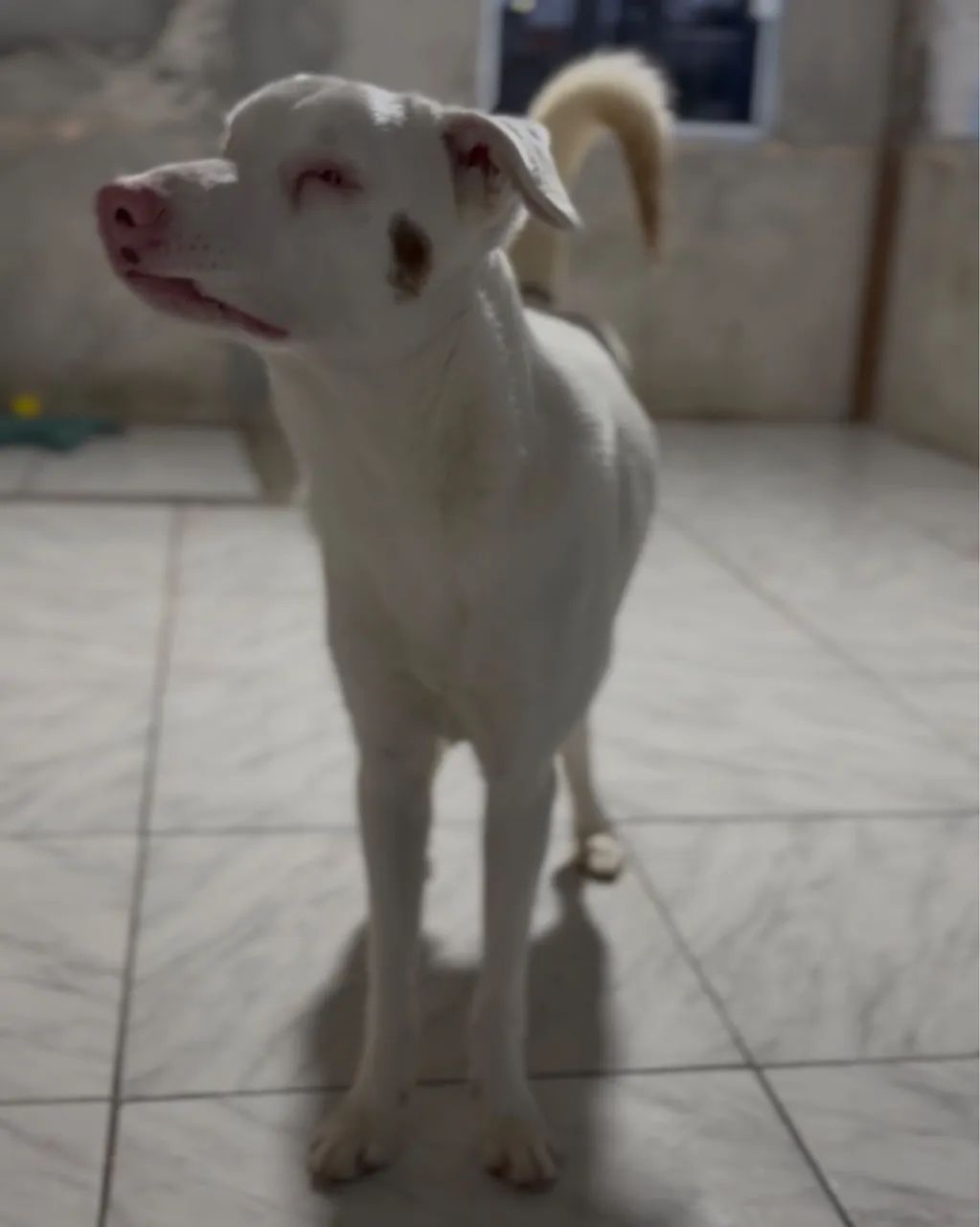 Doação  - Foto 2
