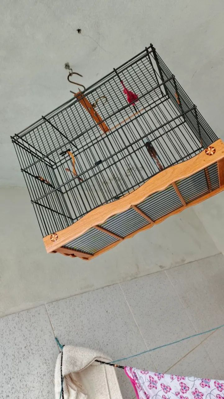 Gaiola presera de luxo 