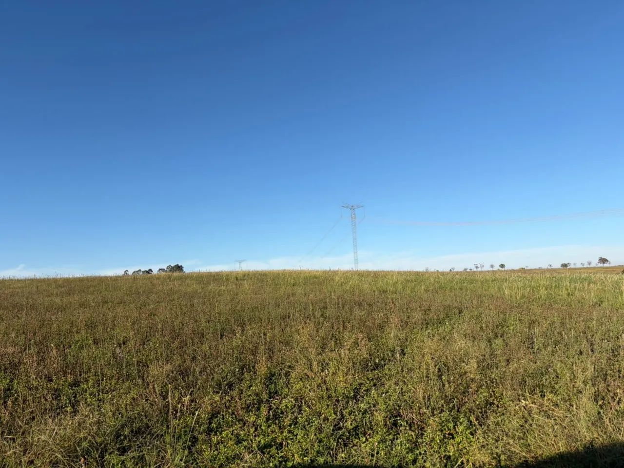 Fazenda em sacramento altitude pra café 