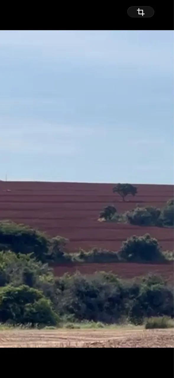 Fazenda na soja próximo Uberlândia  - Foto 4