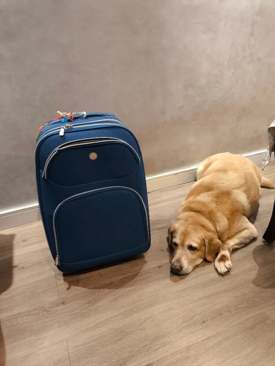 Mala de viagem 