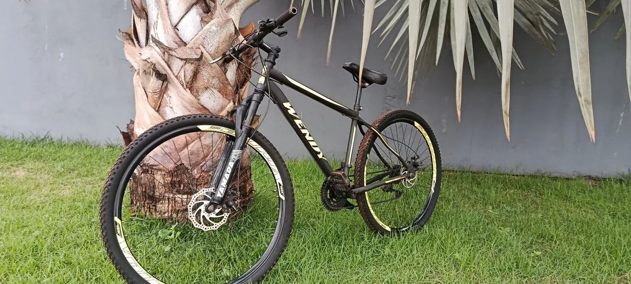 Bicicleta aro 29 